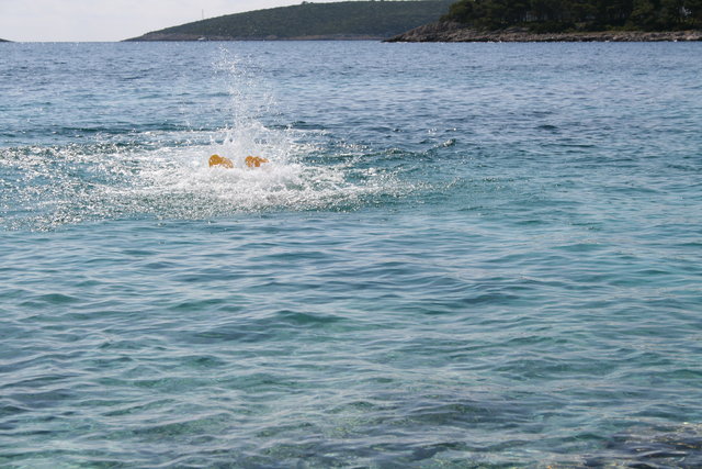 gal/cro 08/small-IMG_4941.JPG